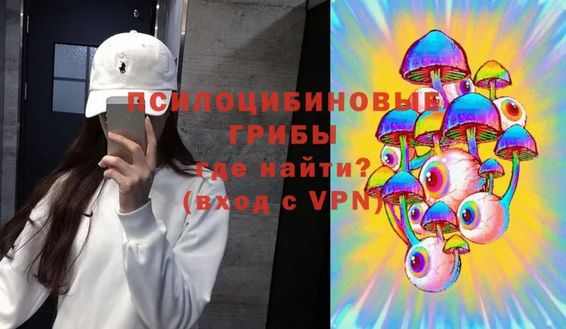 Псилоцибиновые грибы Psilocybe  купить закладку  Москва 